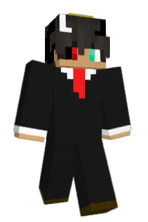DVD9 Minecraft avatar full body