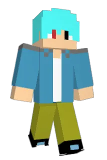 DVRDrTw Minecraft avatar full body