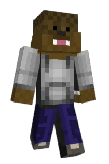 DVSXR Minecraft avatar full body