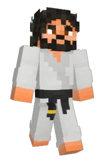 DW9000 Minecraft avatar full body