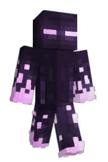DWD304 Minecraft avatar full body
