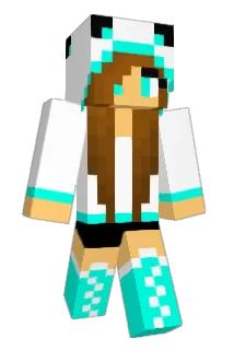 DWHC Minecraft avatar full body