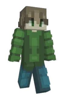 DWT003 Minecraft avatar full body