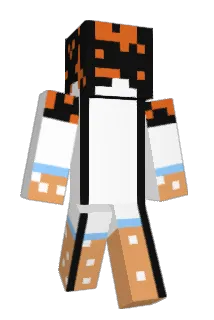 DWall27 Minecraft avatar full body