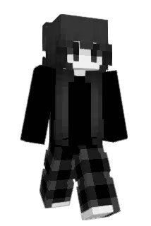 DXAWA Minecraft avatar full body