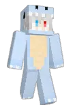 DYC_ Minecraft avatar full body