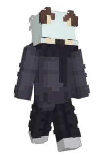 DYDYCRAFT15 Minecraft avatar full body