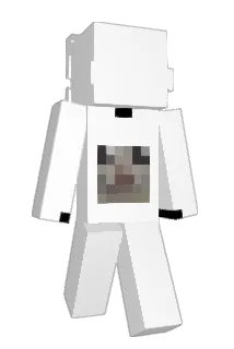 DYNxHunt3r Minecraft avatar full body