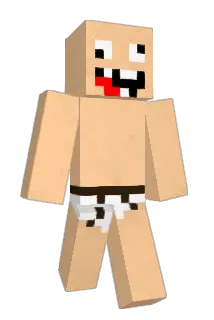 DZD26 Minecraft avatar full body