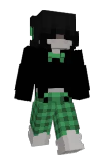 DZIDKA Minecraft avatar full body