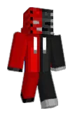 DZS246 Minecraft avatar full body