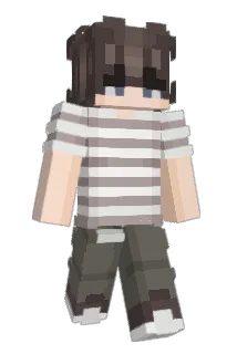 D_5 Minecraft avatar full body