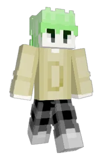D_814 Minecraft avatar full body