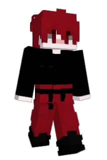 D_Lion1337 Minecraft avatar full body