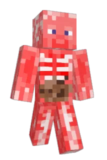 D_Sheep Minecraft avatar full body