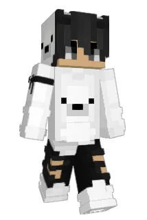 DaAspect Minecraft avatar full body
