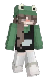 Custom render preview