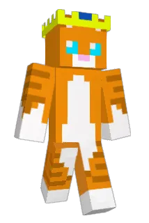 DaLZy Minecraft avatar full body