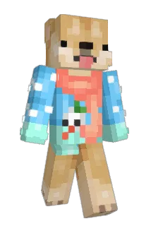 DaNy9934 Minecraft avatar full body