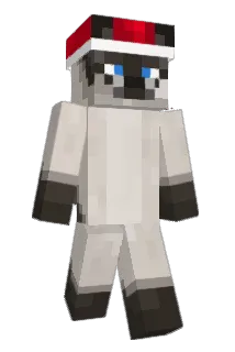 Da_Meow Minecraft avatar full body