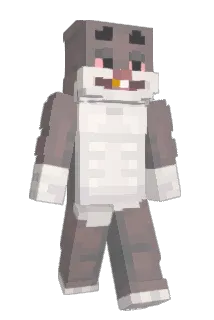 Daan070 Minecraft avatar full body