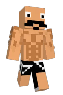 DaanV_2903 Minecraft avatar full body