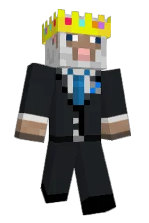 Daantje125 Minecraft avatar full body