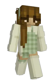 DaddyChegg Minecraft avatar full body