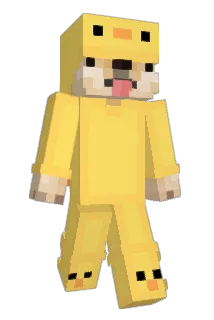 Dafffyyy Minecraft avatar full body