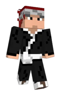 DagobertZ Minecraft avatar full body