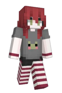 Dailytoes Minecraft avatar full body