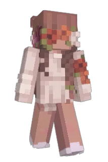 DaisyFighter Minecraft avatar full body