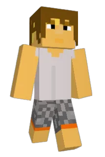 Dakoats Minecraft avatar full body