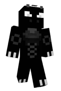 Dallas2411 Minecraft avatar full body