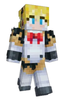 Dameijwo Minecraft avatar full body