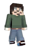 Damiansr Minecraft avatar full body
