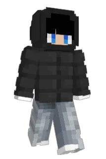 Damncrazy Minecraft avatar full body