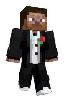 Dan009 Minecraft avatar full body