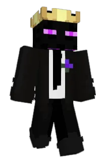 Dan9553 Minecraft avatar full body
