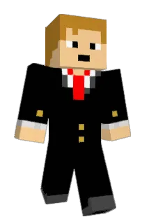 DanFergi26 Minecraft avatar full body