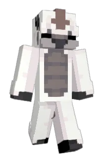 DanMan1744 Minecraft avatar full body
