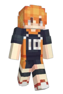 DanQR11 Minecraft avatar full body