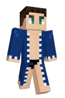 Danatron8888 Minecraft avatar full body