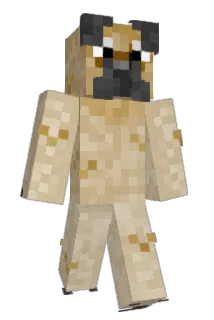 DanielD2016 Minecraft avatar full body