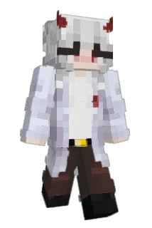 DanipeR_ Minecraft avatar full body