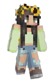 DankDilly Minecraft avatar full body