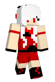 DankMemeSupreme Minecraft avatar full body