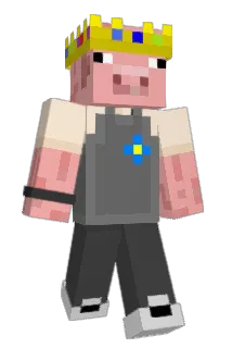 Danmalik_ Minecraft avatar full body