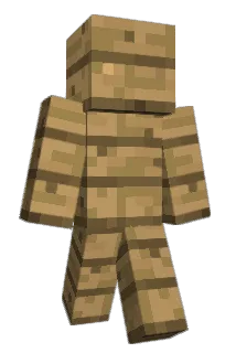 DanorRon Minecraft avatar full body