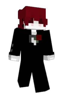 Danzoroh Minecraft avatar full body